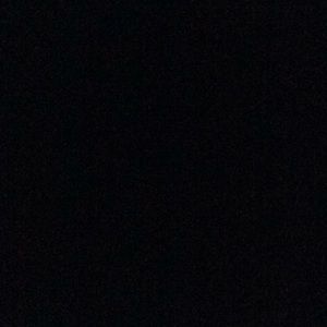 Meet your Posher, Dianne